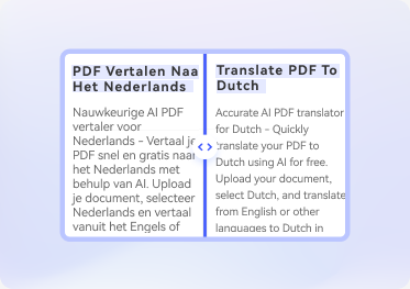 translate dutch to english pdf